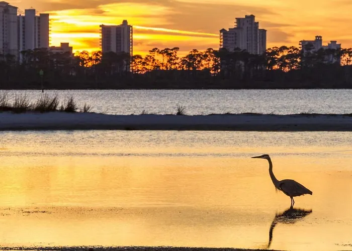 Coastal Holiday home Pensacola